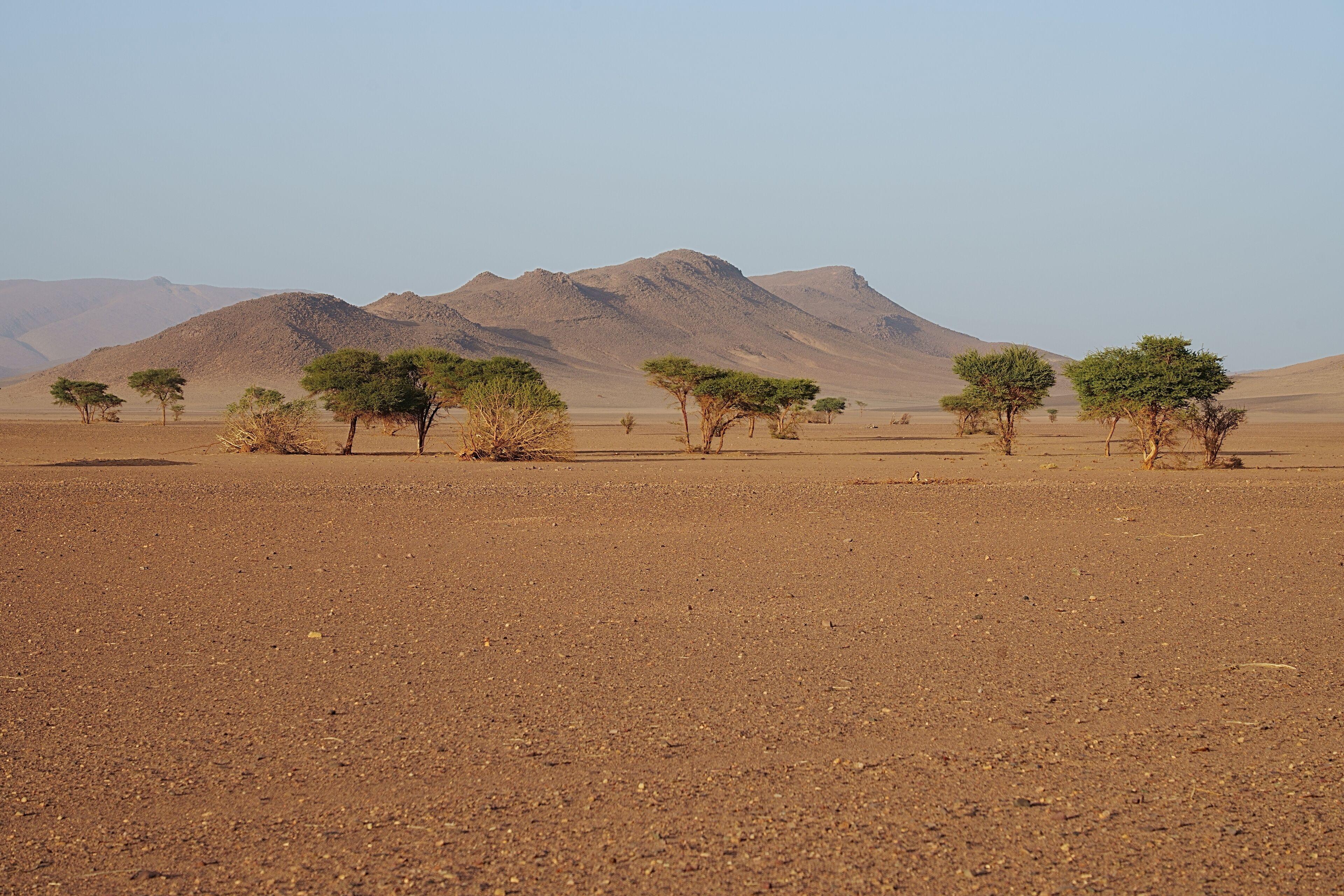 Erg Chegaga 3-Day Tour - photo 5